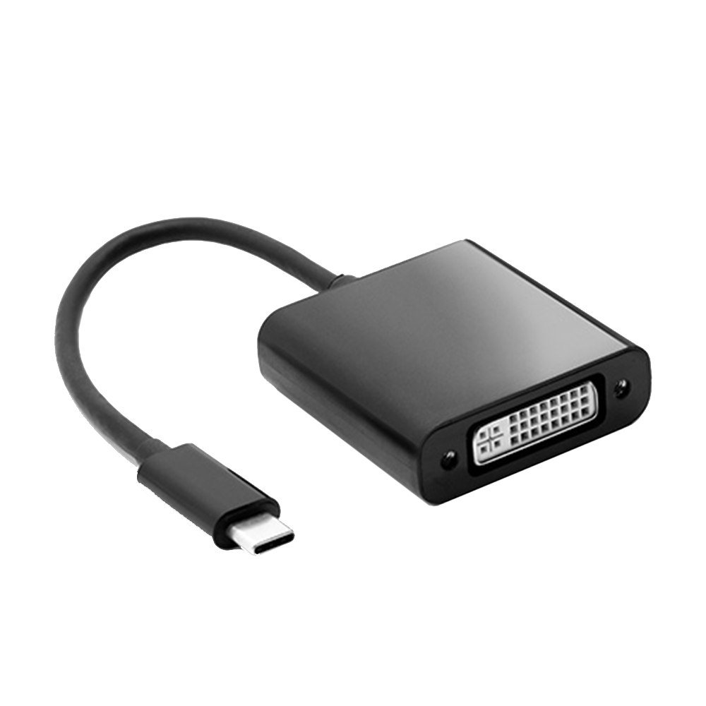 Type-C-to-DVI-20-cm Type C to DVI 20 cm - Figura 1