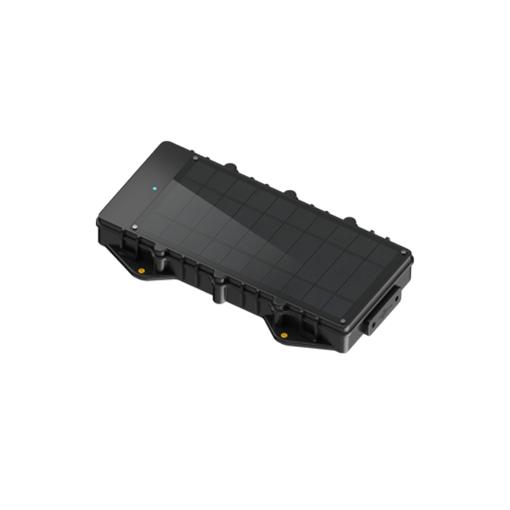 LL303 LL303 - Figura 1