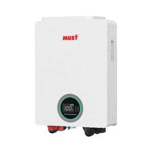 Lithium Battery Wall Mounted ( LifePO4) 51.2v 100Ah