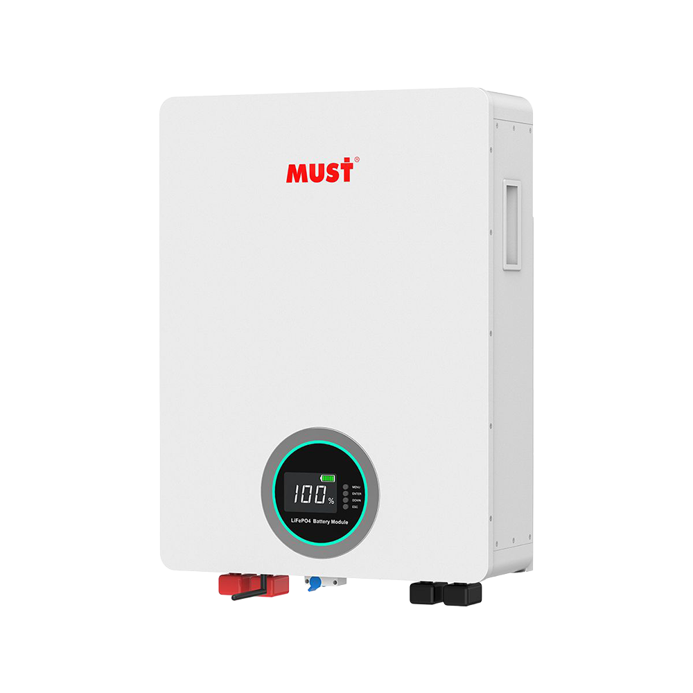 Lithium Battery Wall Mounted ( LifePO4) 51.2v 200Ah