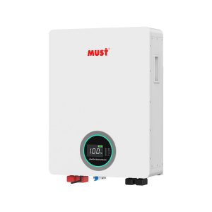 Lithium Battery Wall Mounted ( LifePO4) 51.2v 200Ah