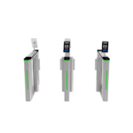 Double Motor Swing Turnstile