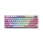 KB MSI FORGE GK600 TKL W Violet US