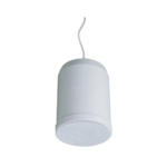 Pendant Speaker TM-20PSP