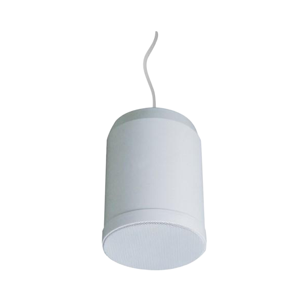 Pendant Speaker TM-20PSP Pendant Speaker TM-20PSP - Figura 1